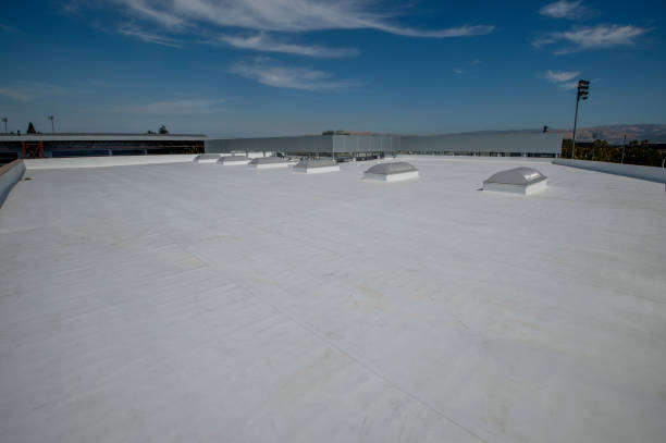 Best Roof Coating and Sealing  in Plainwell, MI