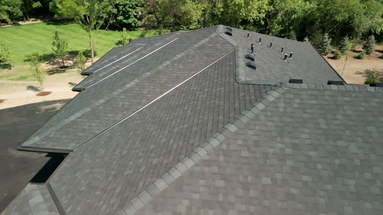 Best Sheet Metal Roofing  in Plainwell, MI