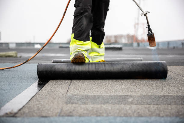 Best Rubber Roofing (EPDM, TPO)  in Plainwell, MI