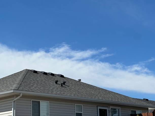 Best Chimney Flashing Repair  in Plainwell, MI