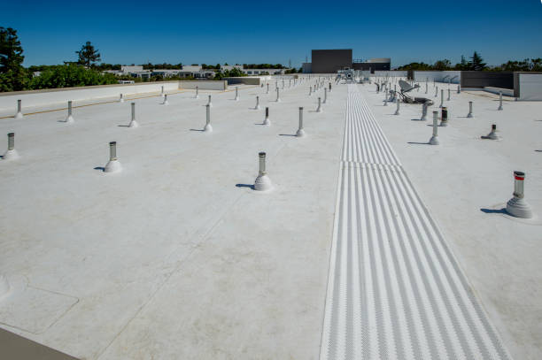 Best Sheet Metal Roofing  in Plainwell, MI